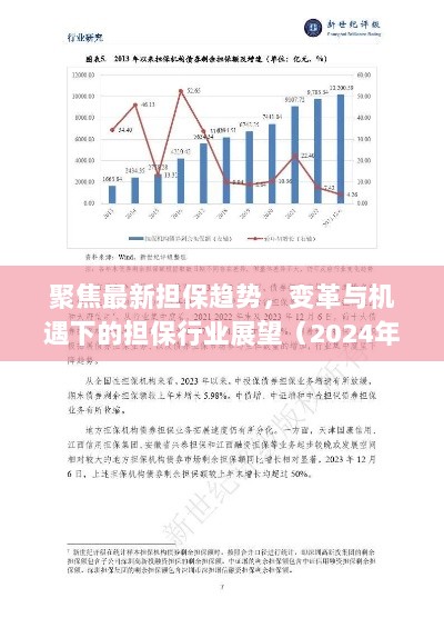 聚焦最新担保趋势，变革与机遇下的担保行业展望（2024年11月16日）