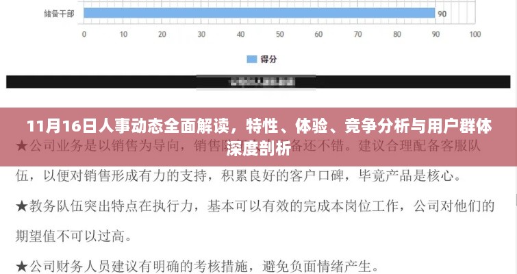 11月16日人事动态全面解读，特性、体验、竞争分析与用户群体深度剖析