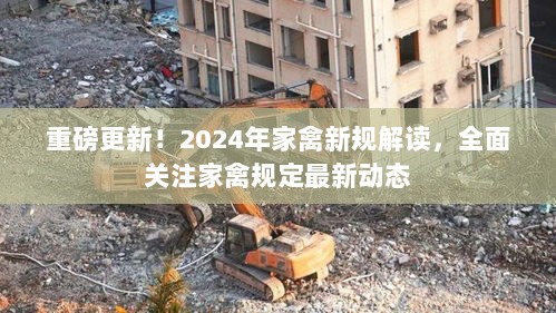 重磅更新！2024年家禽新规解读，全面关注家禽规定最新动态