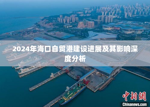 2024年海口自贸港建设进展及其影响深度分析