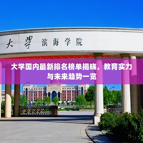 大学国内最新排名榜单揭晓，教育实力与未来趋势一览