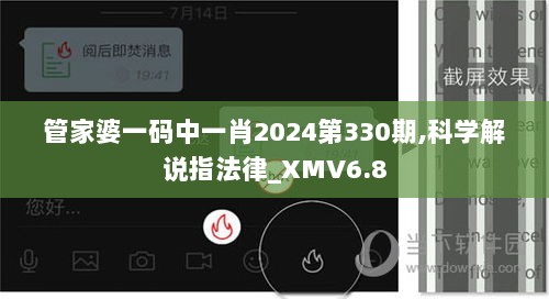 管家婆一码中一肖2024第330期,科学解说指法律_XMV6.8