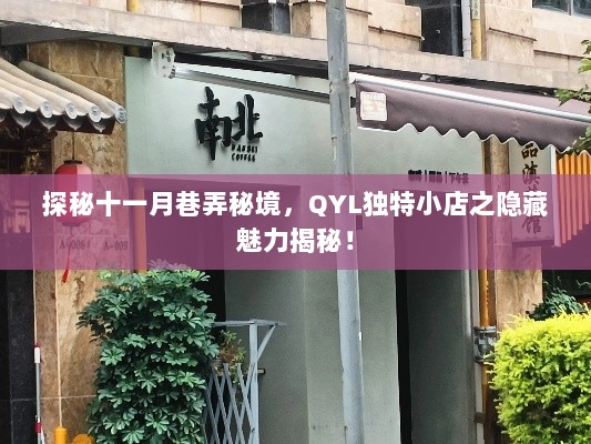 探秘十一月巷弄秘境，QYL独特小店之隐藏魅力揭秘！