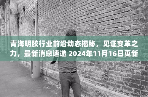 青海明胶行业前沿动态揭秘，见证变革之力，最新消息速递 2024年11月16日更新