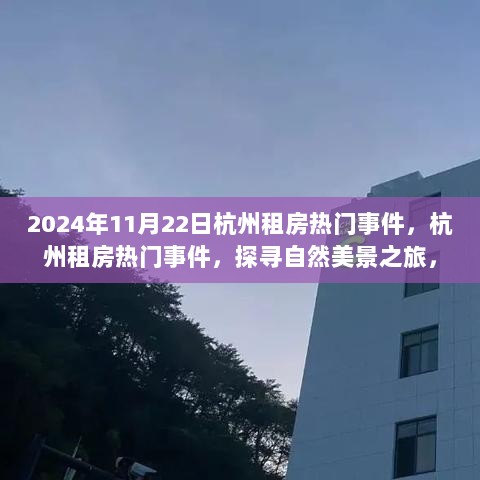 2024年11月 第388页