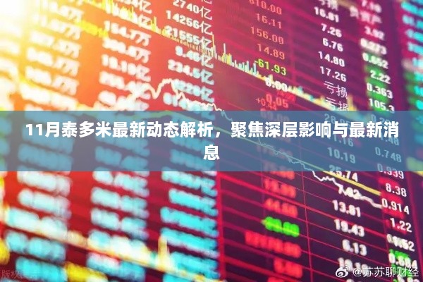 11月泰多米最新动态解析，聚焦深层影响与最新消息