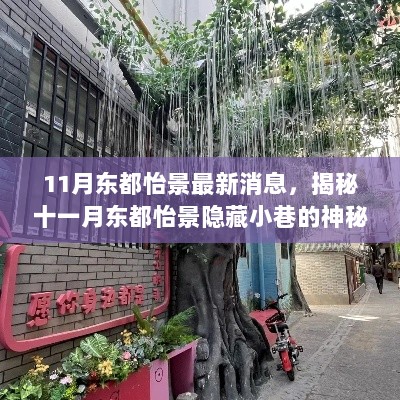 揭秘十一月东都怡景隐藏小巷的神秘特色小店，最新消息一览