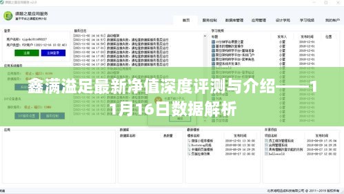 鑫满溢足最新净值深度评测与介绍——11月16日数据解析