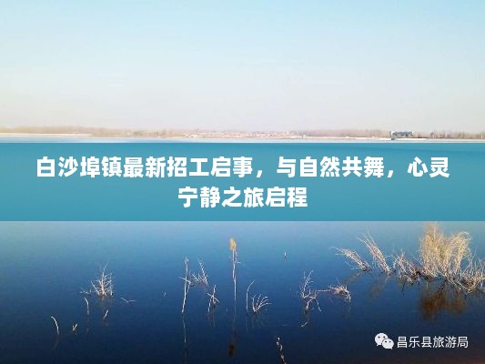 白沙埠镇最新招工启事，与自然共舞，心灵宁静之旅启程