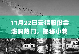 揭秘隐藏宝藏，云铝股份背后的特色小店成长记与股价预测分析（11月22日展望）