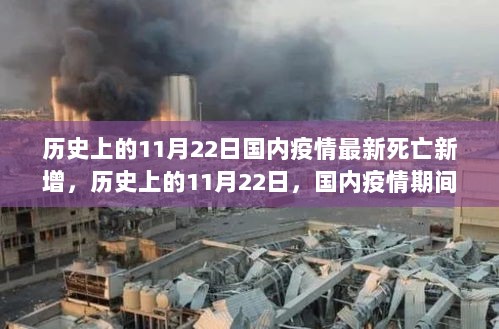 历史上的11月22日国内疫情死亡新增数据解读与反思