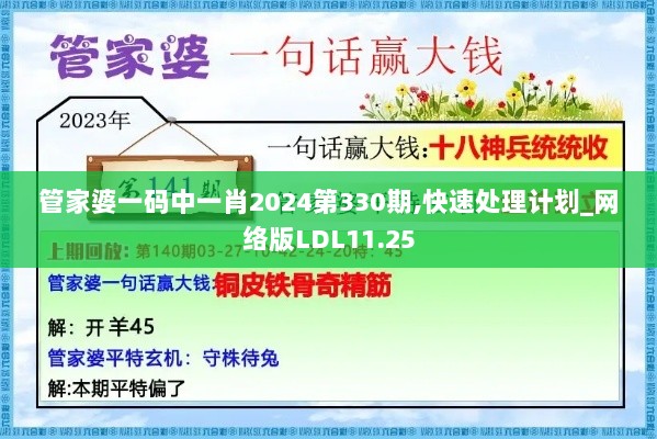 管家婆一码中一肖2024第330期,快速处理计划_网络版LDL11.25