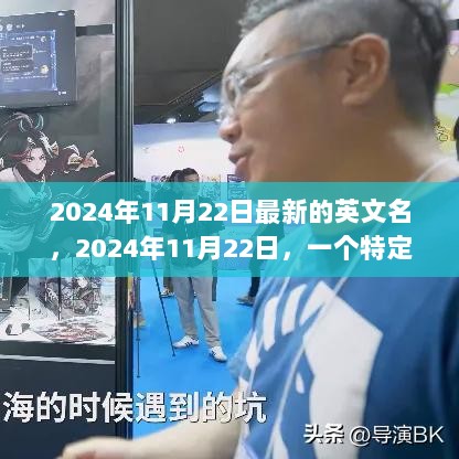 2024年11月22日英文命名演变及其影响力探究