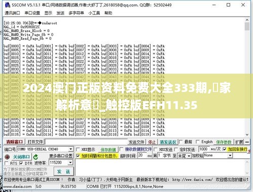 2024澳门正版资料免费大全333期,專家解析意見_触控版EFH11.35