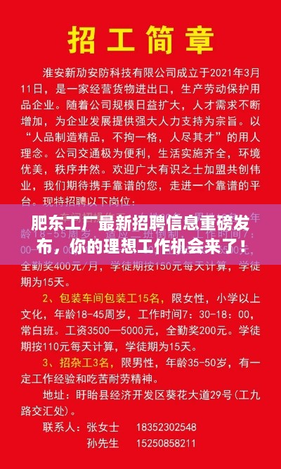 肥东工厂最新招聘信息重磅发布，你的理想工作机会来了！