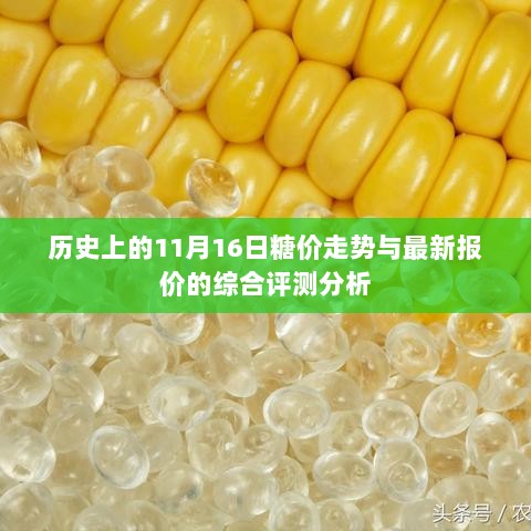 历史上的11月16日糖价走势与最新报价的综合评测分析