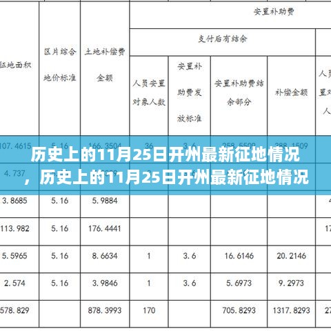 历史上的11月25日开州最新征地情况，历史上的11月25日开州最新征地情况深度评测与介绍