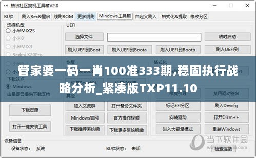 管家婆一码一肖100准333期,稳固执行战略分析_紧凑版TXP11.10