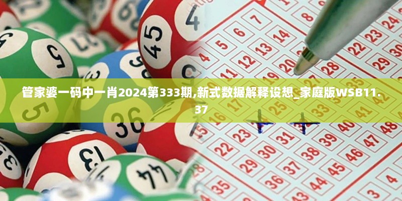 管家婆一码中一肖2024第333期,新式数据解释设想_家庭版WSB11.37