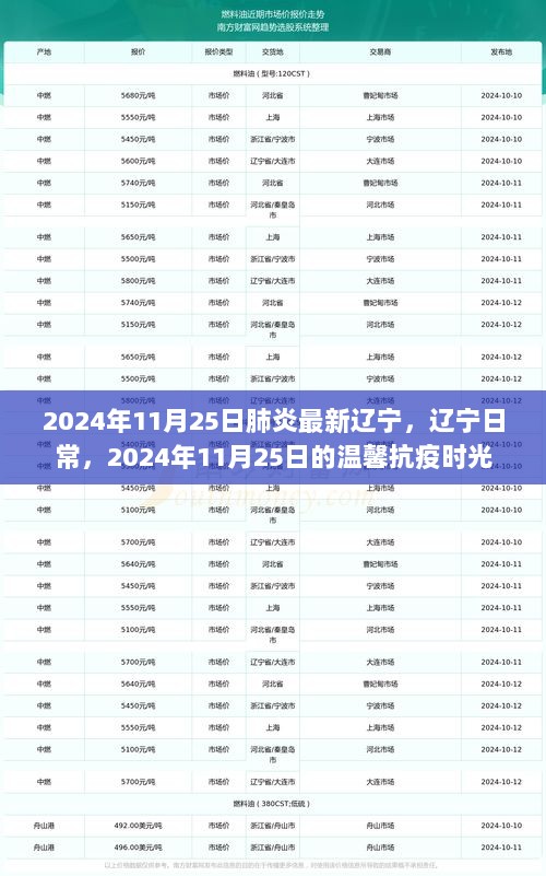 辽宁肺炎最新动态，温馨抗疫时光（2024年11月25日）