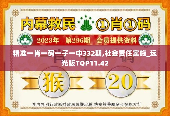 精准一肖一码一子一中332期,社会责任实施_远光版TQP11.42