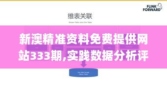 新澳精准资料免费提供网站333期,实践数据分析评估_交互版VTD11.56