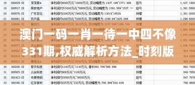 澳门一码一肖一待一中四不像331期,权威解析方法_时刻版NCK11.95