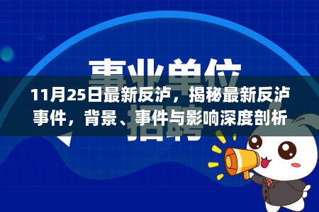 11月25日最新反泸，揭秘最新反泸事件，背景、事件与影响深度剖析