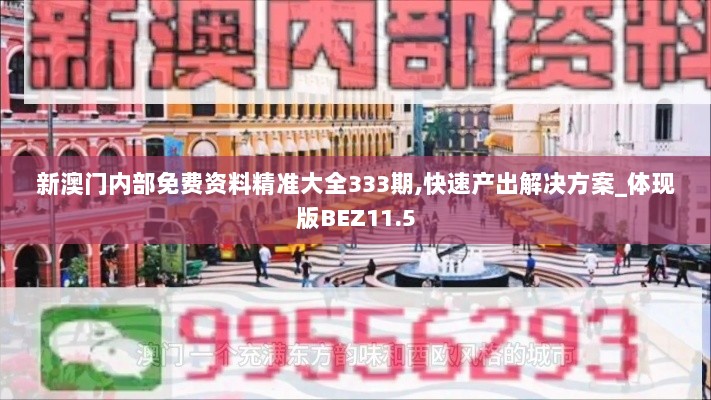 新澳门内部免费资料精准大全333期,快速产出解决方案_体现版BEZ11.5