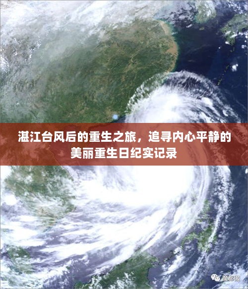 湛江台风后的重生之旅，追寻内心平静的美丽重生日纪实记录