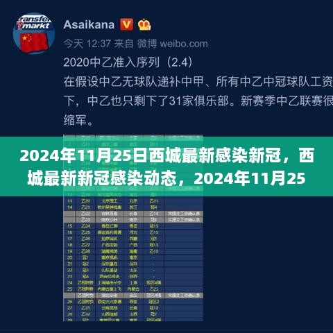 2024年11月25日西城最新感染新冠，西城最新新冠感染动态，2024年11月25日的深度解析