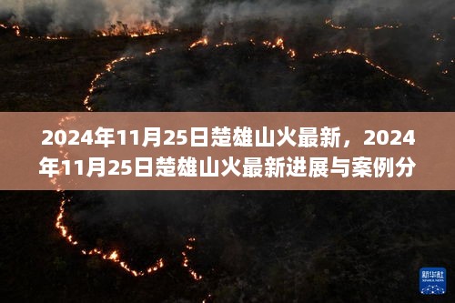 2024年11月25日楚雄山火最新，2024年11月25日楚雄山火最新进展与案例分析