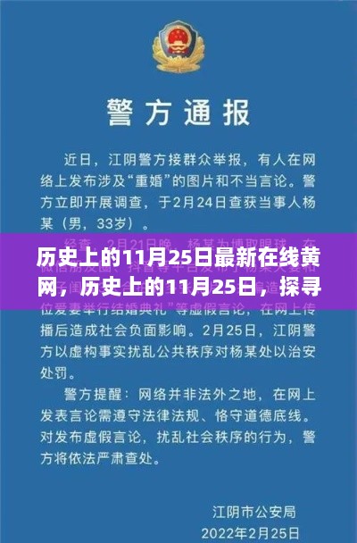 警惕网络陷阱，共建和谐网络，历史上的11月25日那些值得铭记的瞬间，远离不良内容，倡导健康网络文化。