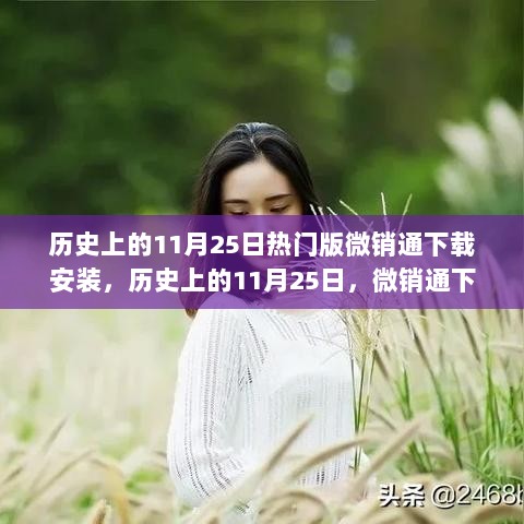 历史上的11月25日热门版微销通下载安装，历史上的11月25日，微销通下载之旅与心灵的自然探险