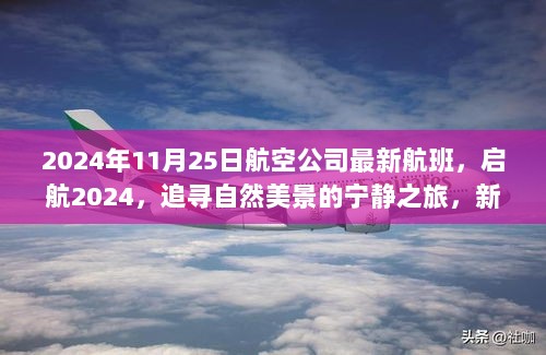 2024年11月25日航空公司最新航班，启航2024，追寻自然美景的宁静之旅，新航班带你解锁心灵之旅