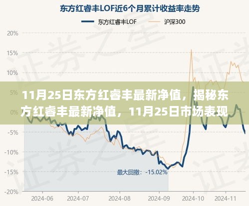 11月25日东方红睿丰最新净值，揭秘东方红睿丰最新净值，11月25日市场表现的深度解读