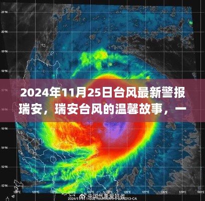 2024年11月25日台风最新警报瑞安，瑞安台风的温馨故事，一场与风的约会