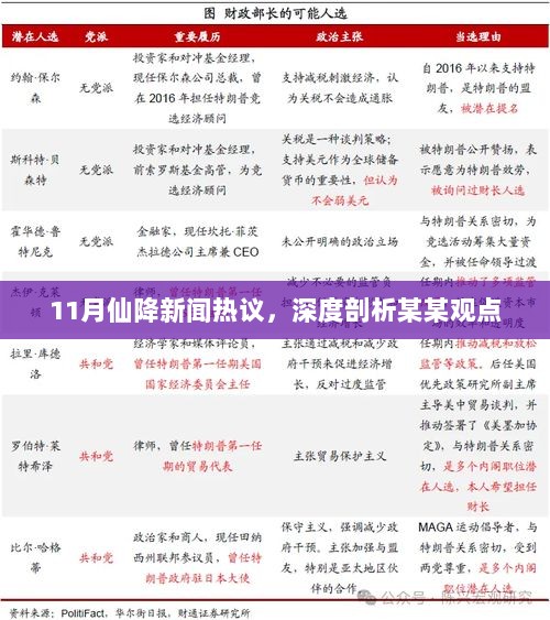 11月仙降新闻热议，深度剖析某某观点