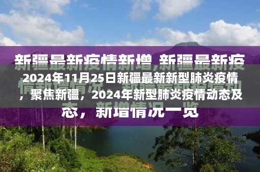 2024年11月25日新疆新型肺炎疫情动态及应对措施聚焦