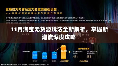 11月淘宝无货源玩法全新解析，掌握新潮流深度攻略