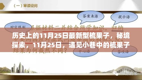 秘境探索，遇见独具匠心的梳果子传奇小店——11月25日的独特记忆