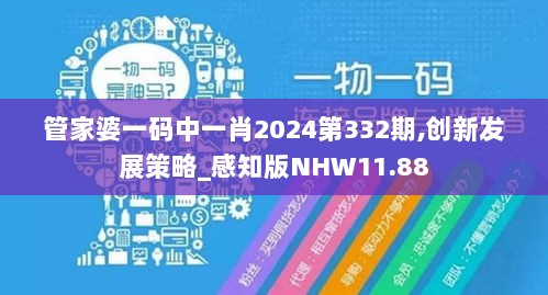 管家婆一码中一肖2024第332期,创新发展策略_感知版NHW11.88