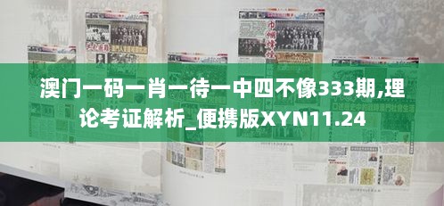 澳门一码一肖一待一中四不像333期,理论考证解析_便携版XYN11.24