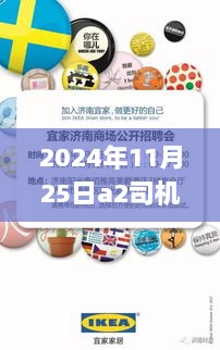 2024年11月 第272页