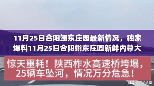 独家揭秘，合阳翊东庄园最新内幕与最新情况揭秘（11月25日更新）