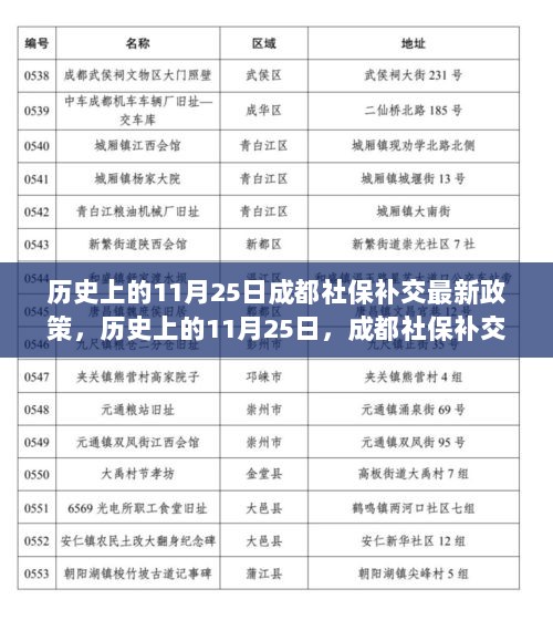 历史上的11月25日，成都社保补交政策的演变与影响分析