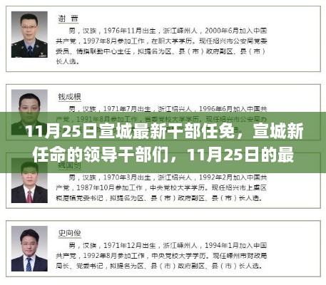 宣城新任命的领导干部动态，最新任免消息及动态解析（11月25日）