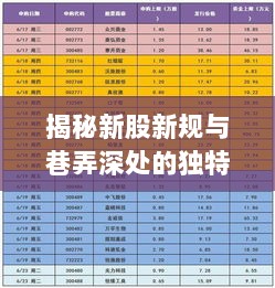 揭秘新股新规与巷弄深处的独特小店探索之旅（11月17日最新打新股规定）