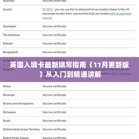 英国入境卡最新填写指南（11月更新版）从入门到精通讲解