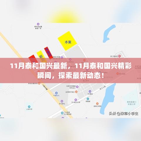 探索最新动态，11月泰和国兴精彩瞬间